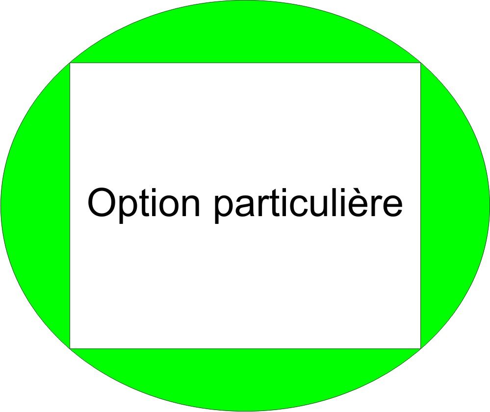 Option à ajouter à une commande pour une option ou un service particulier