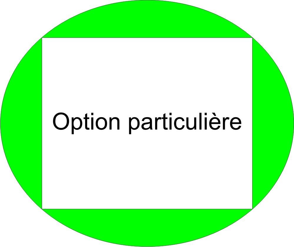 Option à ajouter à une commande pour une option ou un service particulier